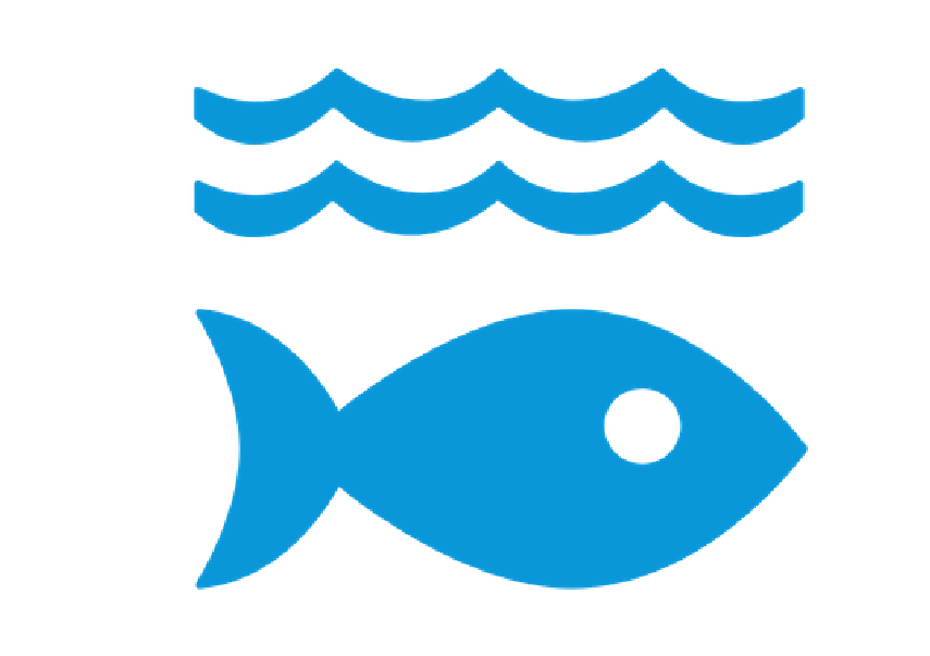Life Below Water